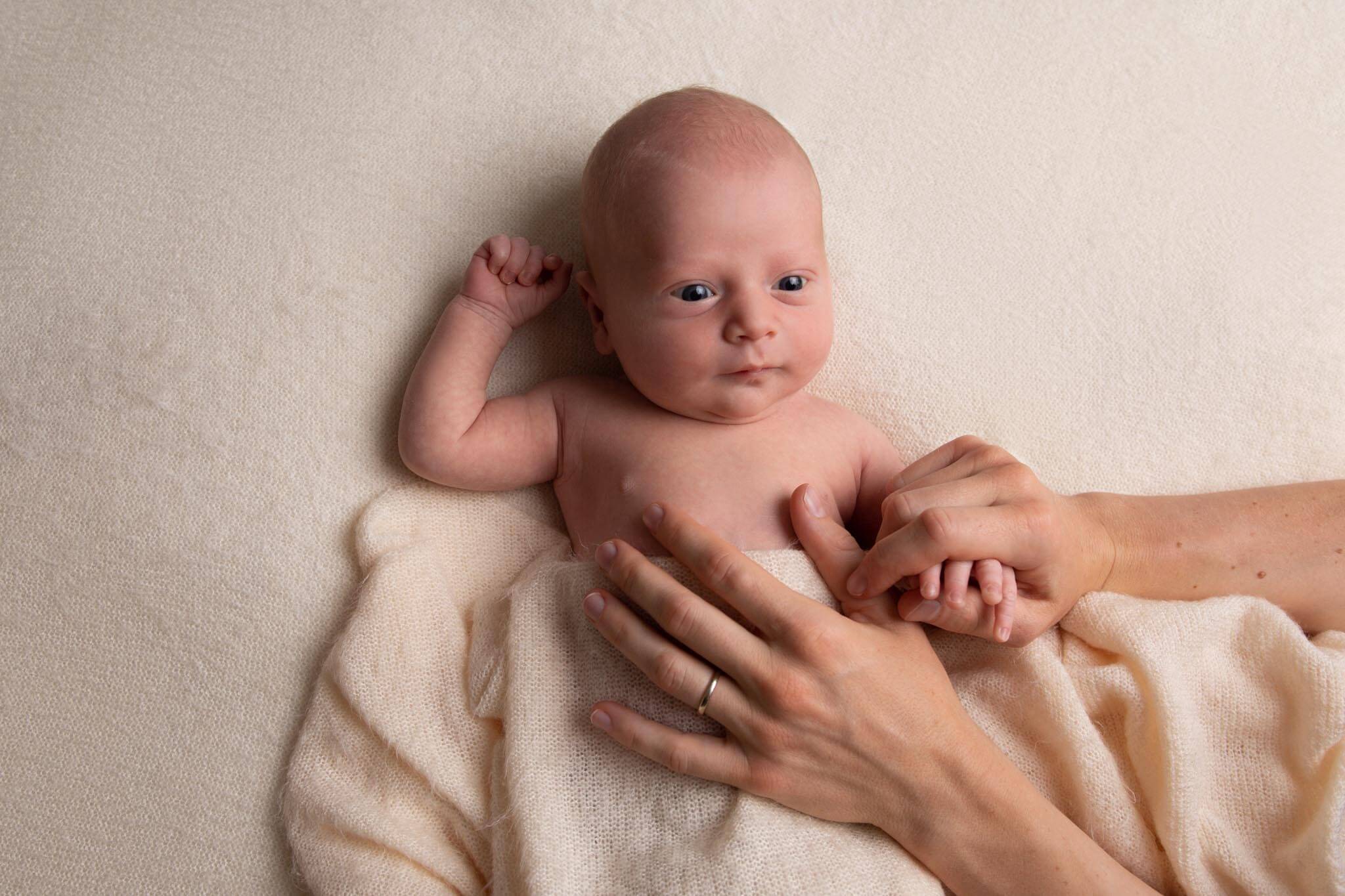 photographe lausanne bebe studio newborn